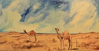 Camels at Al Sawadi, Oman