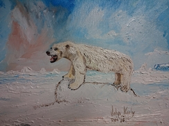 Polar Bear at St. Anthony, Newfoundland