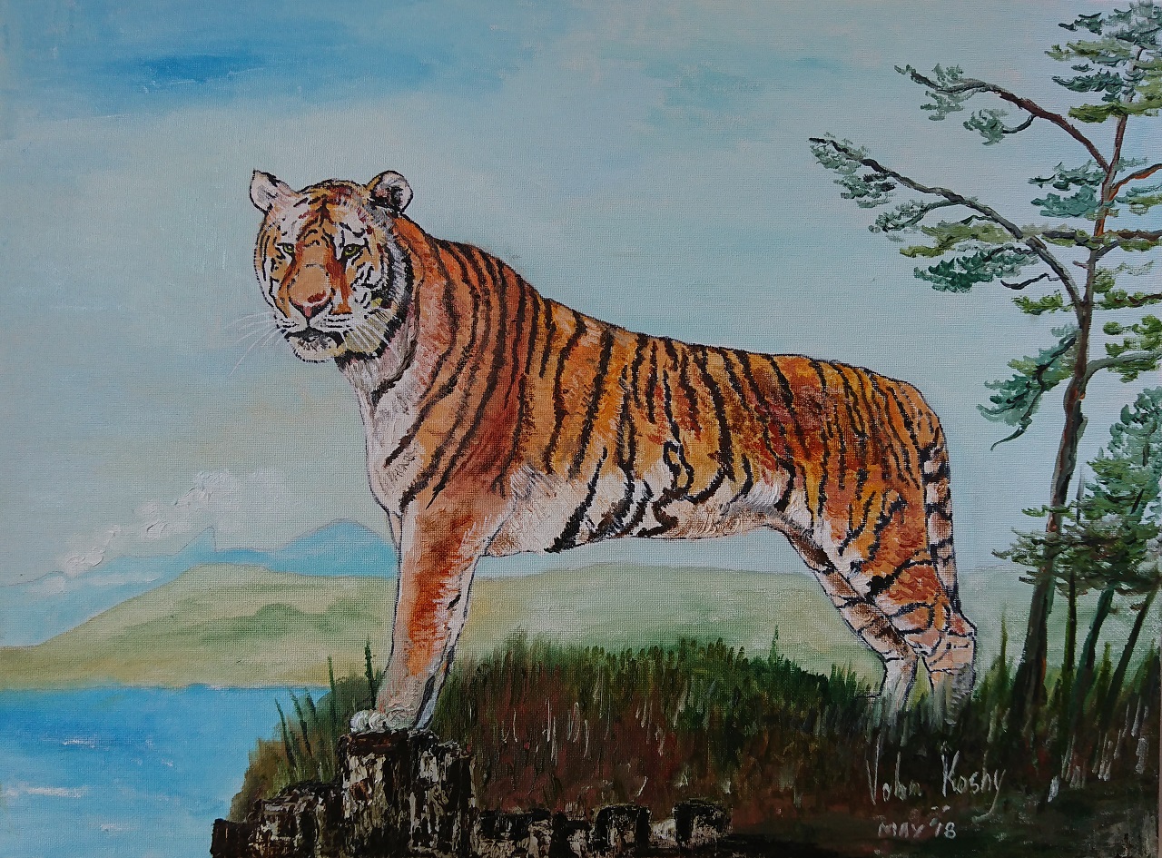 Bengal Tiger at Mukurthi