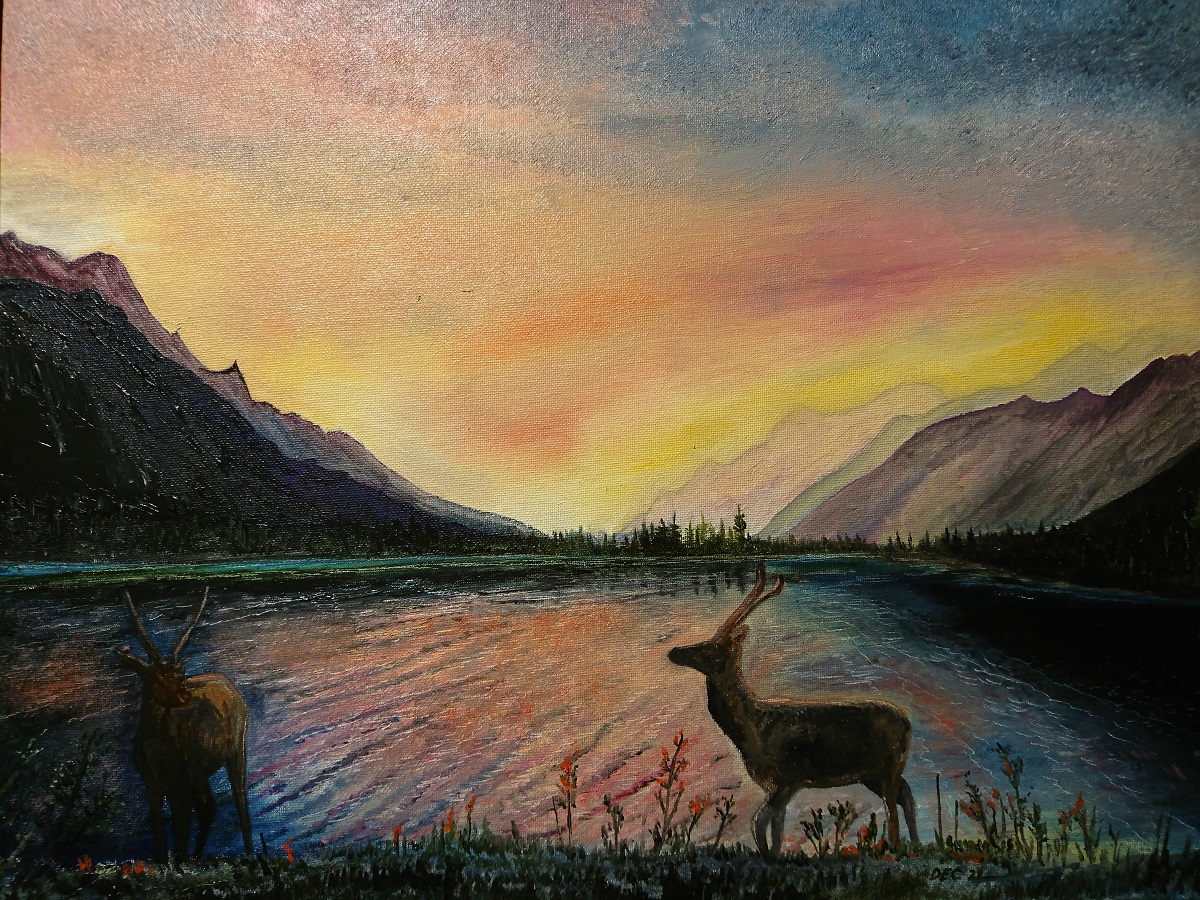 Elk at Sunset