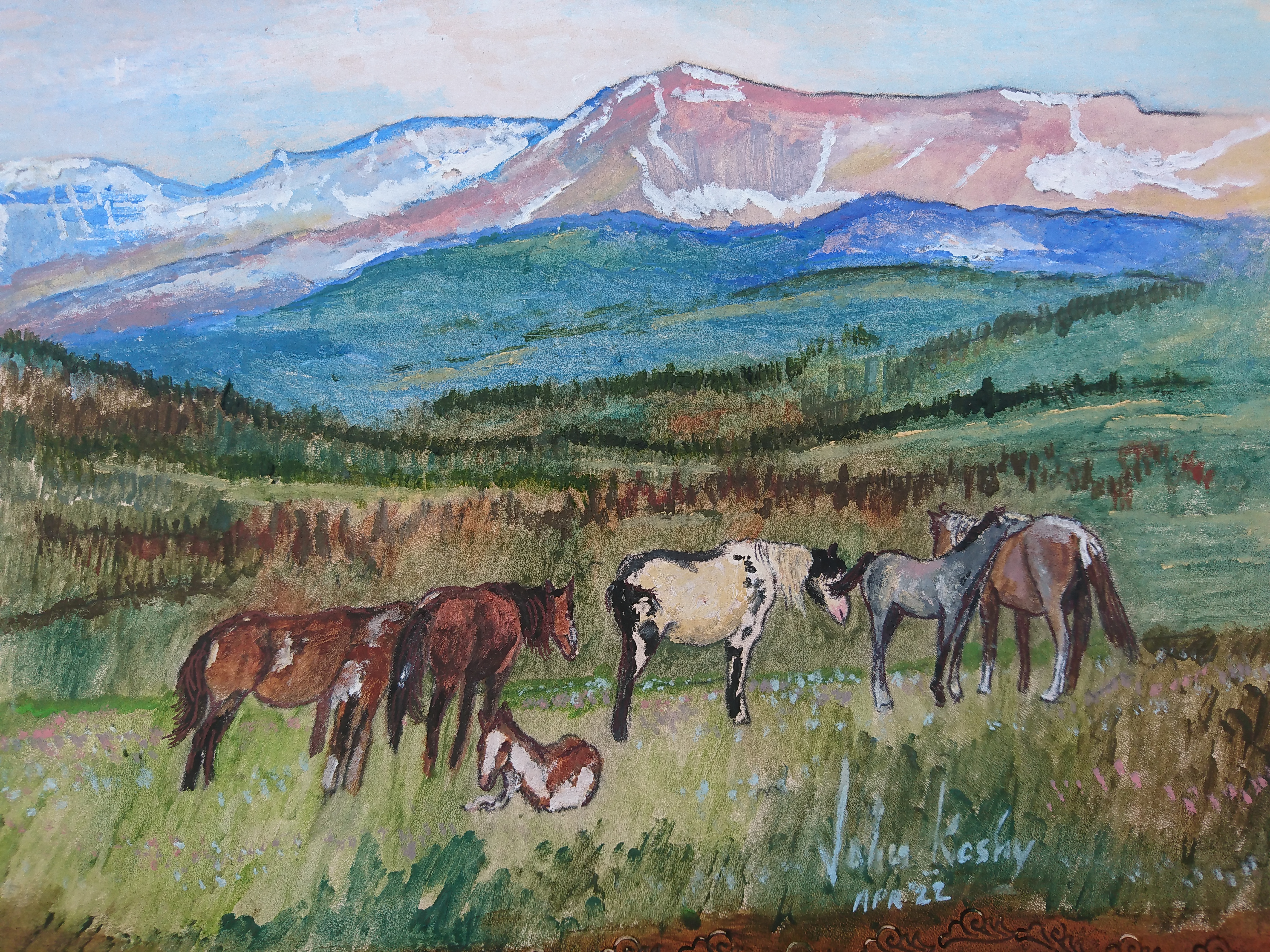 Wild Horses, Montana