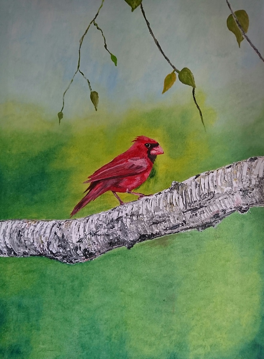Cardinal on the Birch Tree