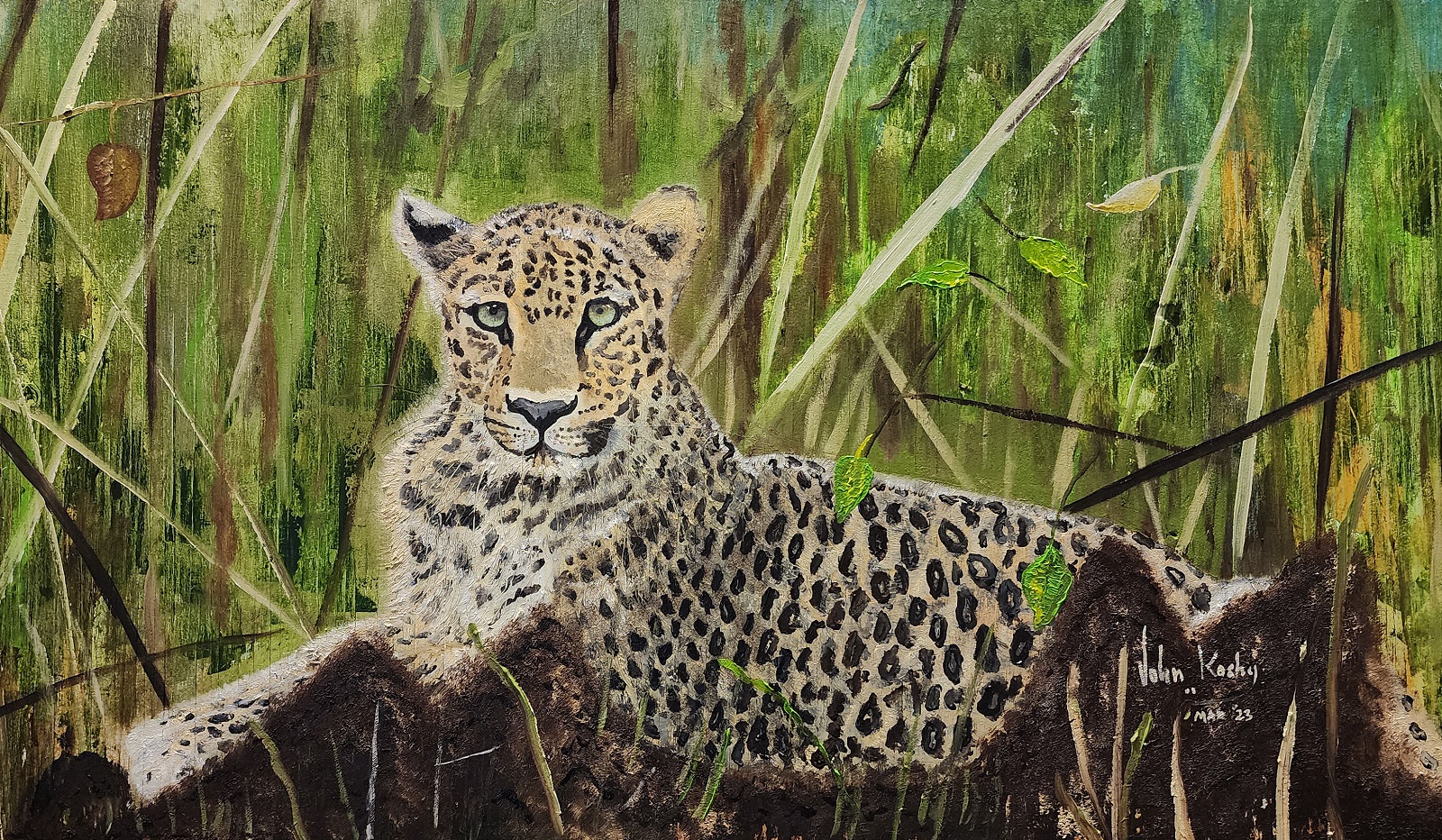Leopard at Kabini